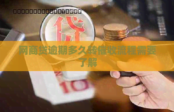 白条贷逾期多久转流程需要了解
