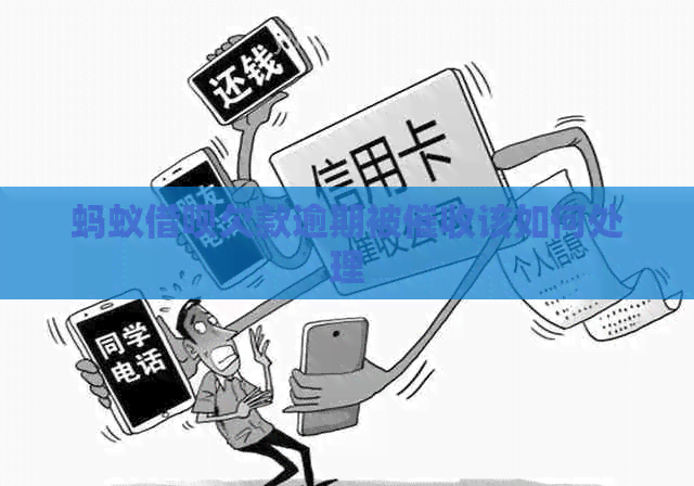 蚂蚁信用卡欠款逾期被该如何处理