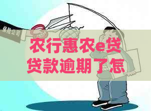 农行惠农e贷贷款逾期了怎么办