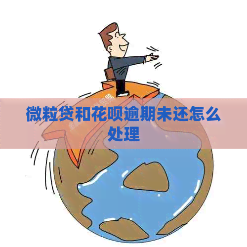 微粒贷和白条逾期未还怎么处理