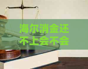 海尔消金还不上会不会开除