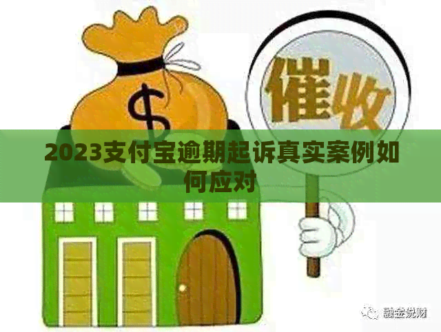 2023信用卡逾期起诉真实案例如何应对