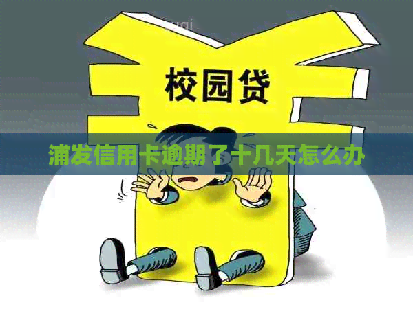 浦发信用卡逾期了十几天怎么办
