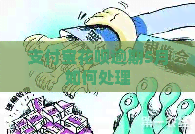 信用卡白条逾期5月如何处理