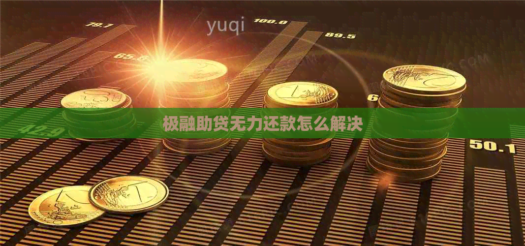 极融助贷无力还款怎么解决