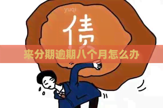 来分期逾期八个月怎么办