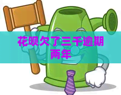 白条欠了三千逾期两年
