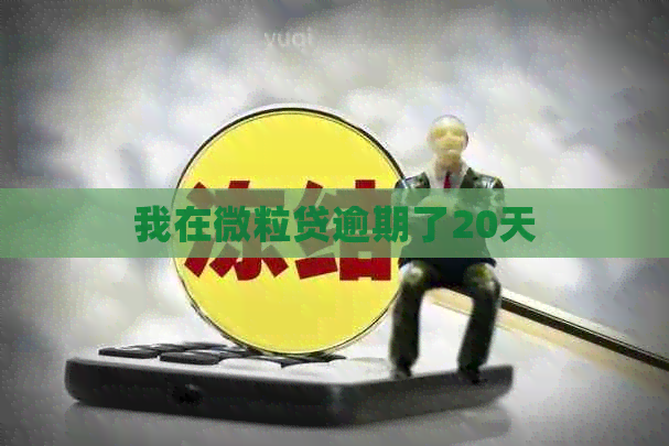 我在微粒贷逾期了20天