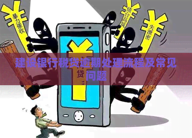 建设银行税贷逾期处理流程及常见问题