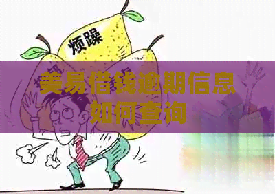 美易借钱逾期信息如何查询