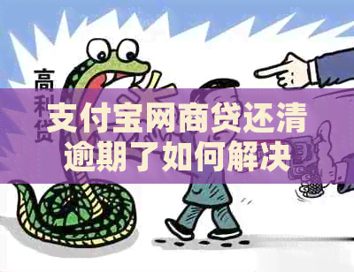 信用卡白条贷还清逾期了如何解决
