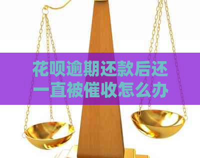 白条逾期还款后还一直被怎么办