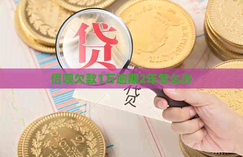 信用卡欠款1万逾期2年怎么办