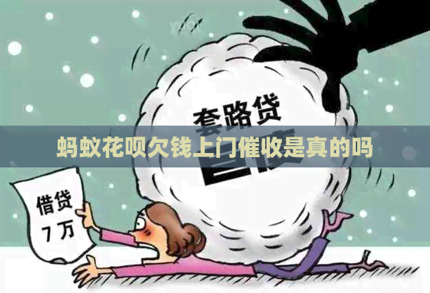 蚂蚁白条欠钱上门是真的吗
