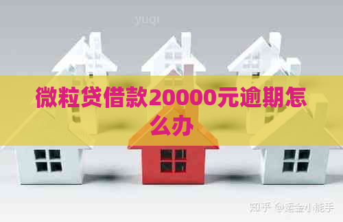 微粒贷借款20000元逾期怎么办
