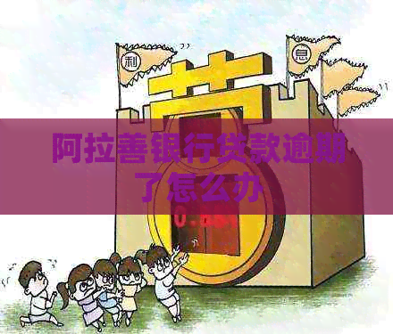 阿拉善银行贷款逾期了怎么办