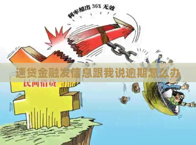 速贷金融发信息跟我说逾期怎么办