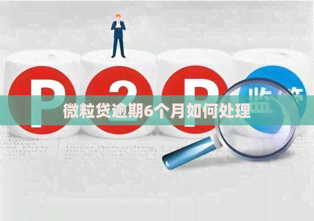 微粒贷逾期6个月如何处理