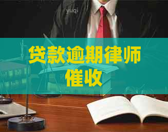 贷款逾期律师