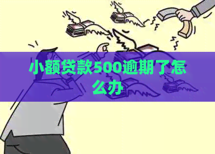 小额贷款500逾期了怎么办