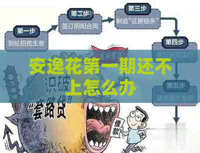 安逸花之一期还不上怎么办