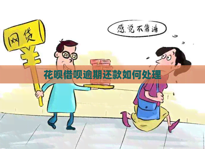 白条信用卡逾期还款如何处理