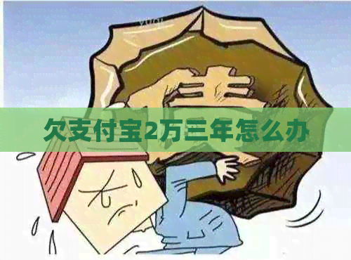 欠信用卡2万三年怎么办