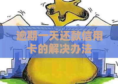 逾期一天还款信用卡的解决办法