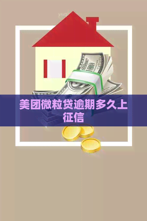 美团微粒贷逾期多久上