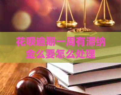 白条逾期一周有滞纳金么要怎么处理