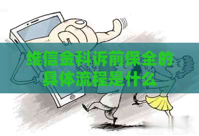 维信金科诉前保全的具体流程是什么