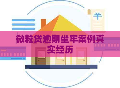 微粒贷逾期坐牢案例真实经历