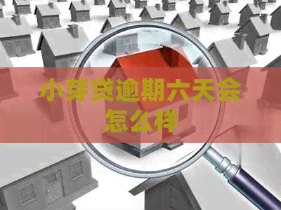 小芽贷逾期六天会怎么样