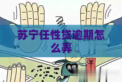 苏宁任性贷逾期怎么弄