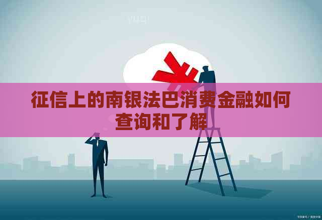 上的南银法巴消费金融如何查询和了解