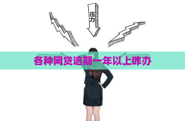 各种网贷逾期一年以上咋办