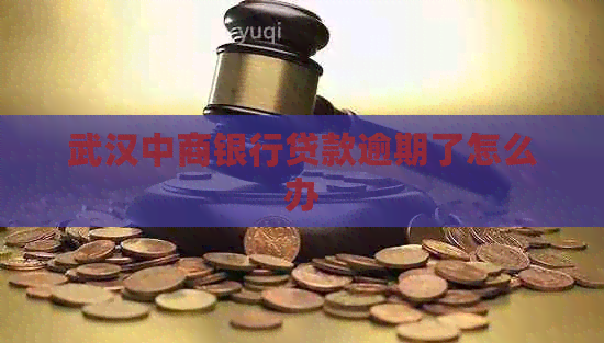 武汉中商银行贷款逾期了怎么办