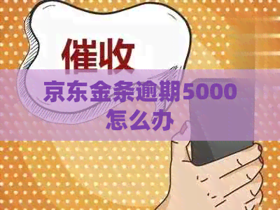京东金条逾期5000怎么办