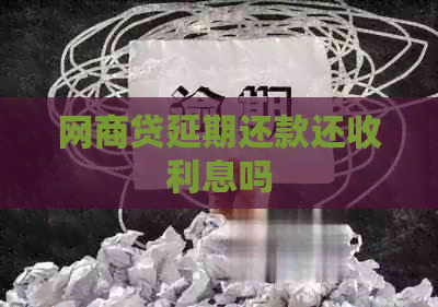 白条贷延期还款还收利息吗