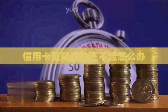 信用卡延期还款还不起怎么办