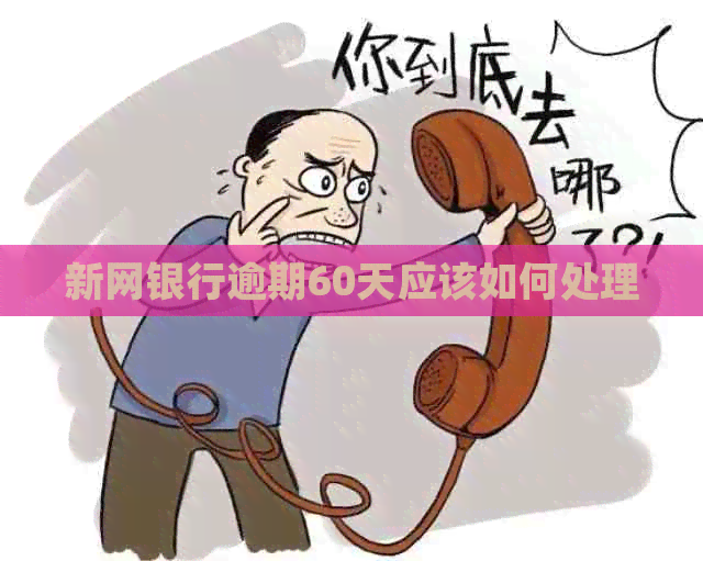 新网银行逾期60天应该如何处理