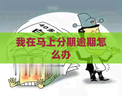 我在马上分期逾期怎么办