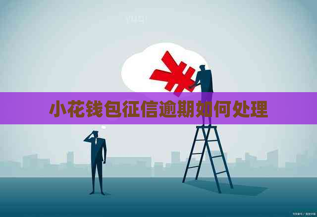 小花钱包逾期如何处理