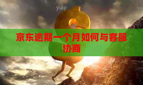京东逾期一个月如何与客服协商