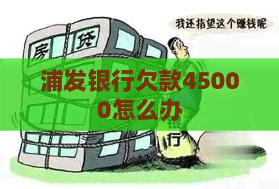 浦发银行欠款45000怎么办