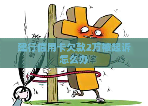 建行信用卡欠款2万被起诉怎么办