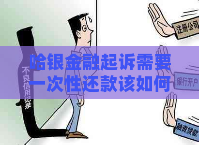 哈银金融起诉需要一次性还款该如何应对