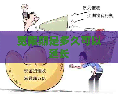 宽限期是多久可以延长