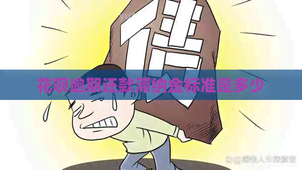 白条逾期还款滞纳金标准是多少