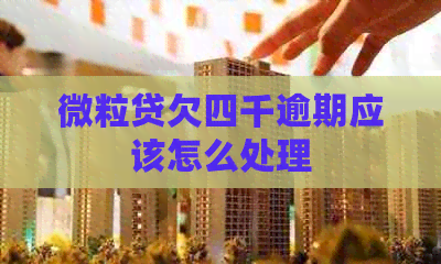 微粒贷欠四千逾期应该怎么处理